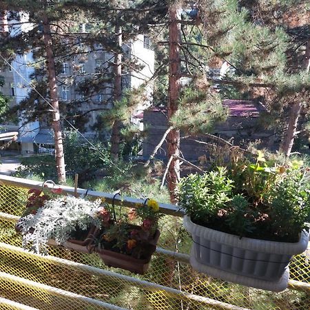 Londa Apartment Borjomi Luaran gambar