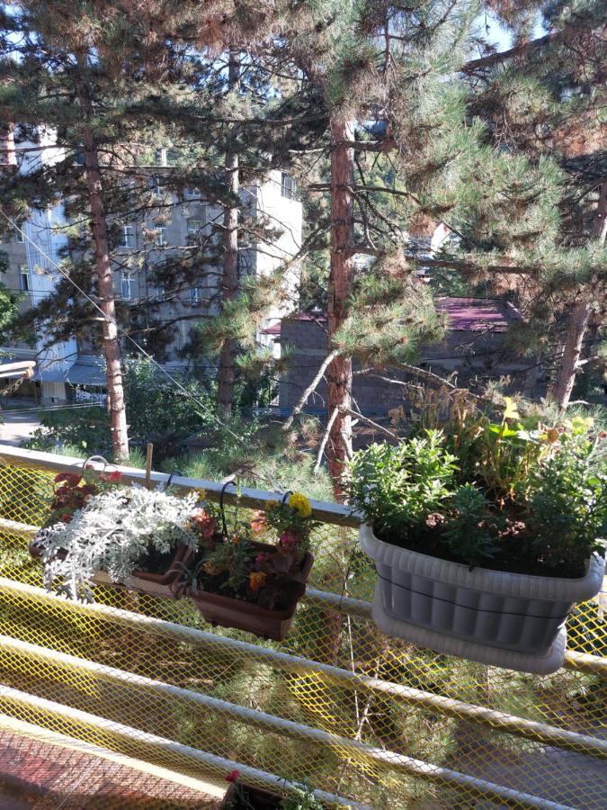 Londa Apartment Borjomi Luaran gambar