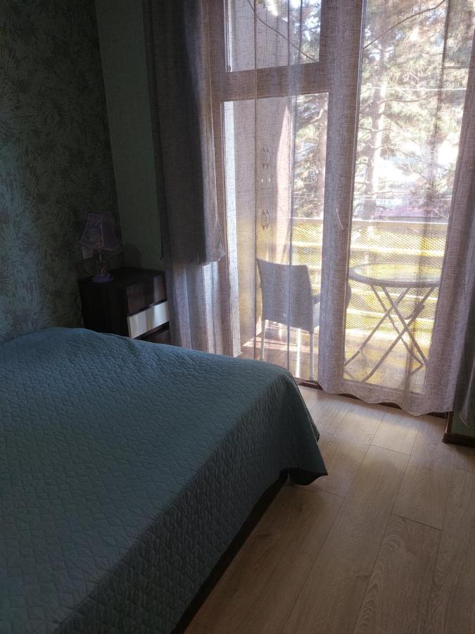 Londa Apartment Borjomi Luaran gambar